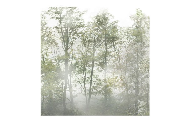 Motivkissen FORESTAL 2