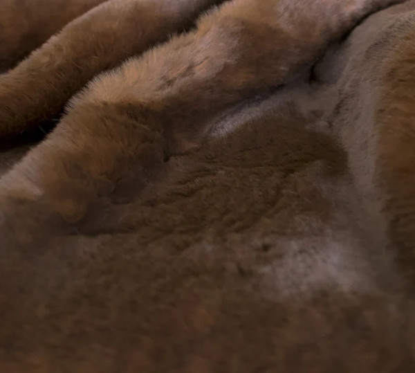 DECKENKUNST Hermelin brown, Rückseite Velvet brown, 150x200cm